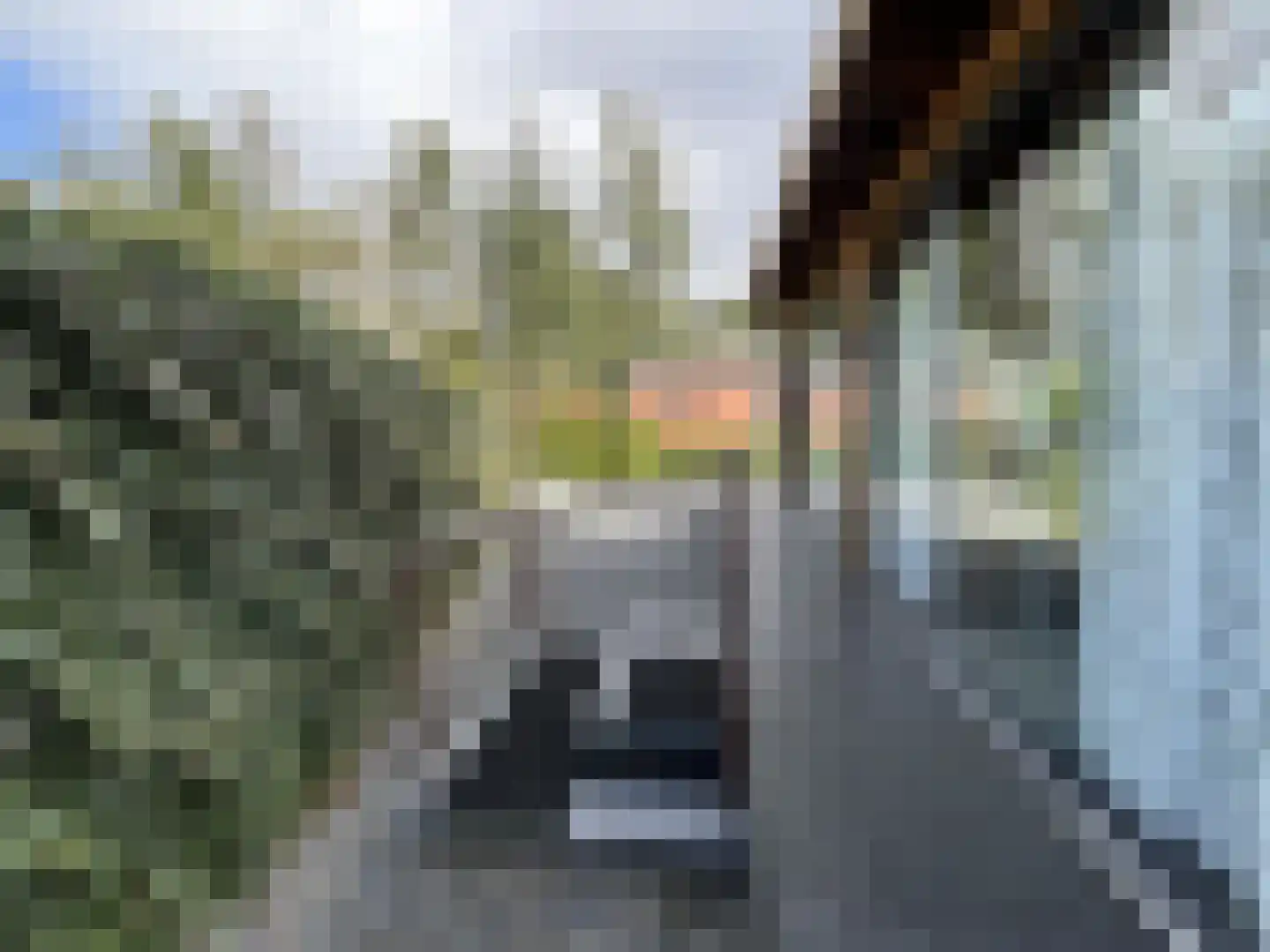 Korhoenlaan 2 147 Harderwijk thumbnail 24