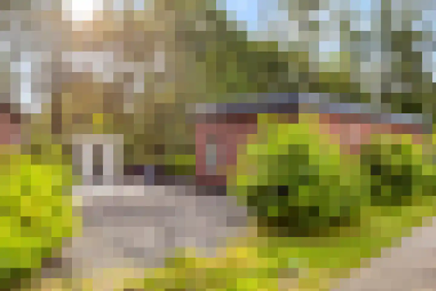 Korhoenlaan 2 151 Harderwijk thumbnail 6