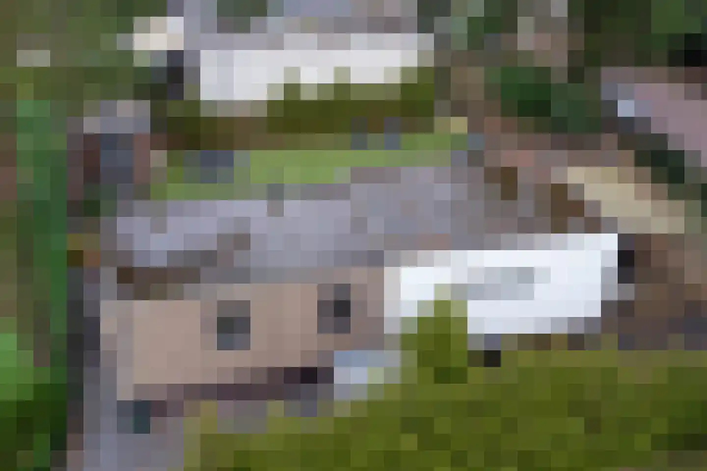 Korhoenlaan 2 172 Harderwijk thumbnail 7