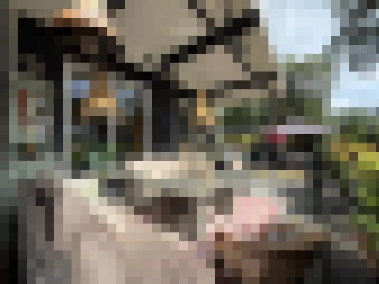 Korhoenlaan 2 182 Harderwijk thumbnail 13