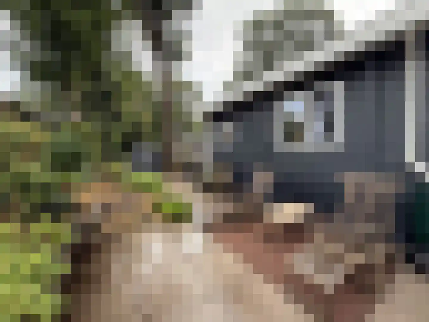 Korhoenlaan 2 182 Harderwijk thumbnail 9