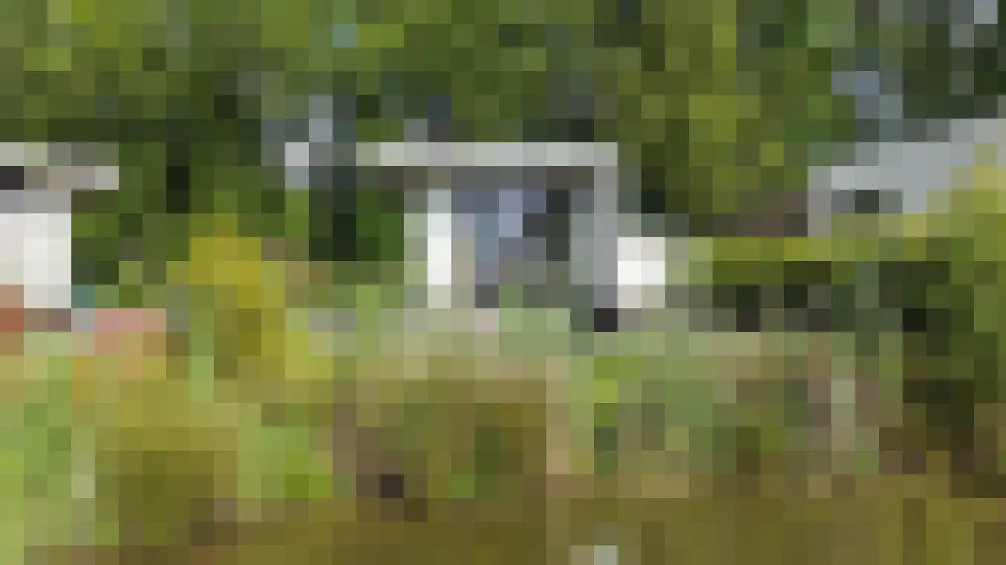 Korhoenlaan 2 19 Harderwijk thumbnail 23