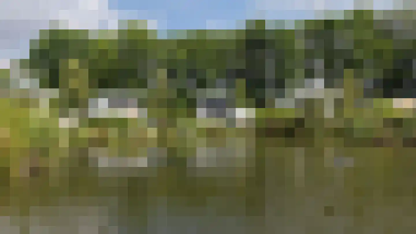 Korhoenlaan 2 19 Harderwijk thumbnail 30