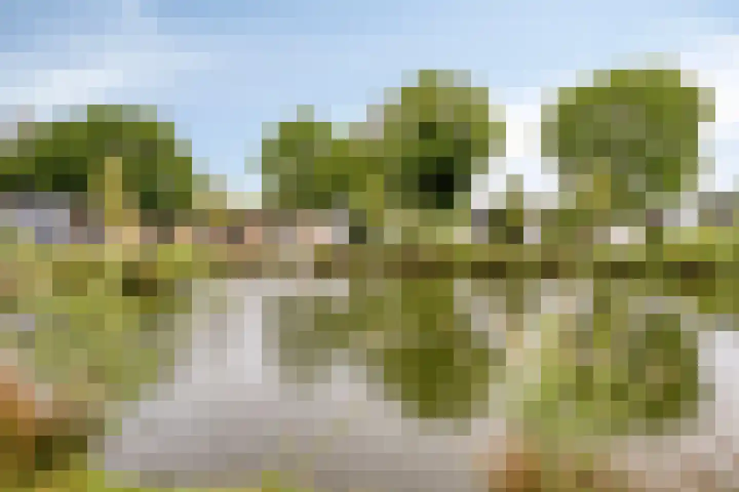 Korhoenlaan 2 19 Harderwijk thumbnail 6