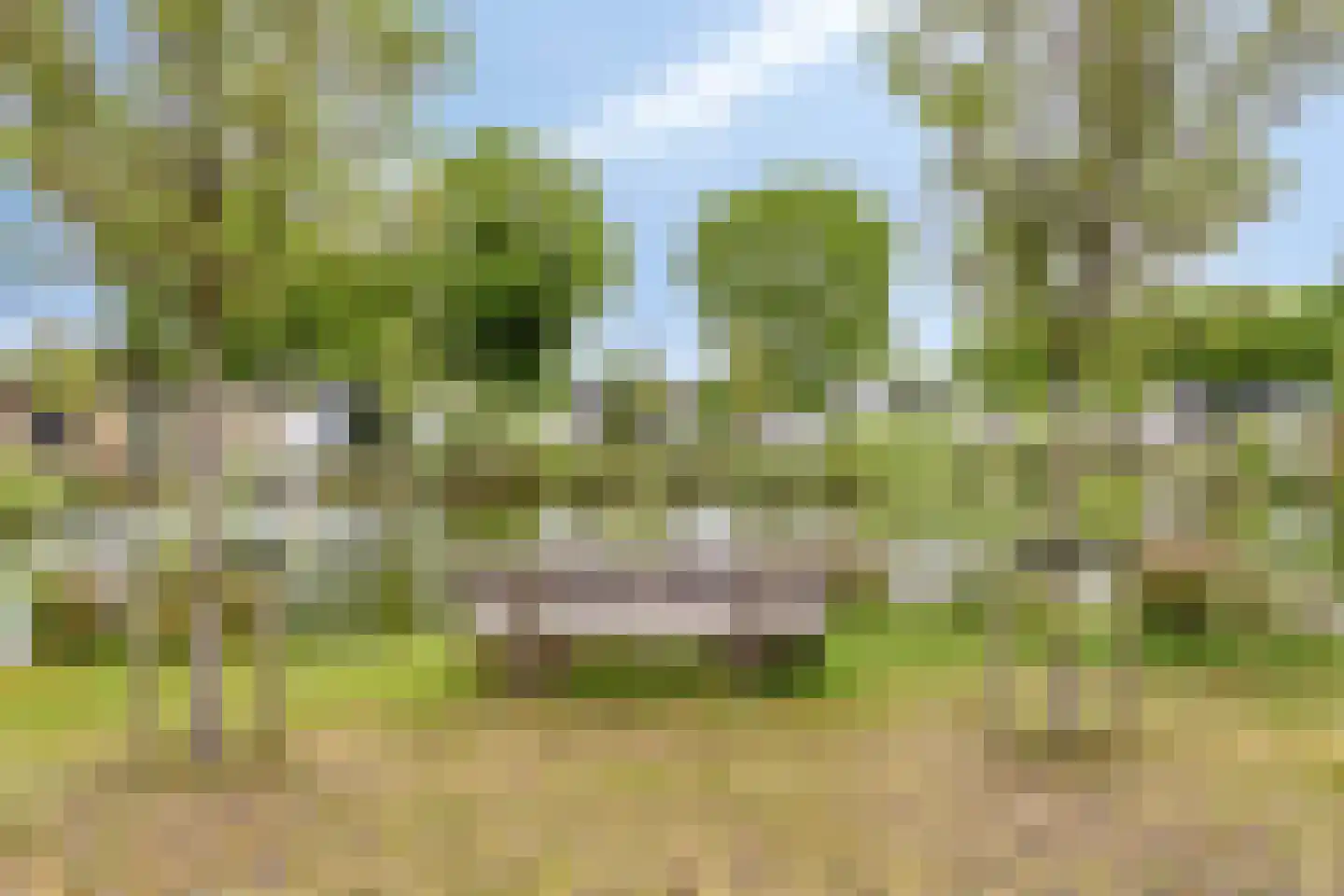 Korhoenlaan 2 19 Harderwijk thumbnail 7