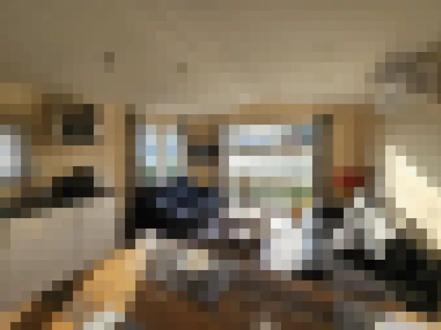 Korhoenlaan 2 198 Harderwijk thumbnail 5