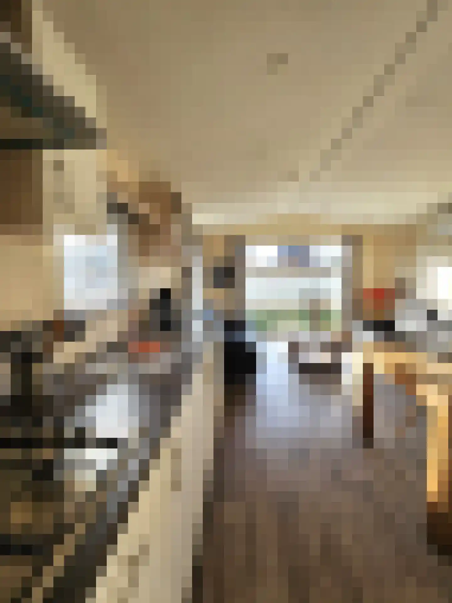 Korhoenlaan 2 198 Harderwijk thumbnail 7