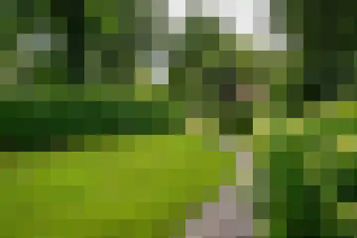 Korhoenlaan 2 20 Harderwijk thumbnail 30