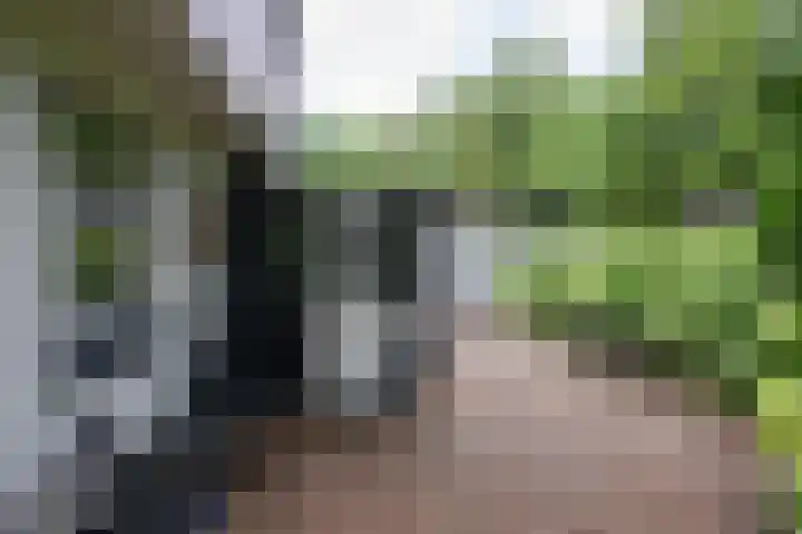 Korhoenlaan 2 20 Harderwijk thumbnail 31