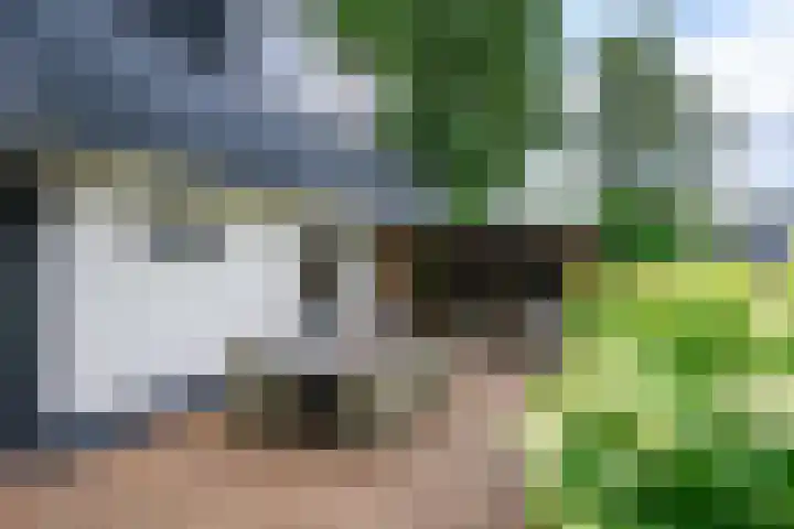 Korhoenlaan 2 20 Harderwijk thumbnail 34