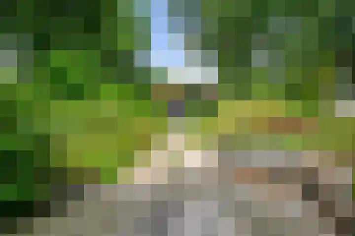 Korhoenlaan 2 20 Harderwijk thumbnail 39