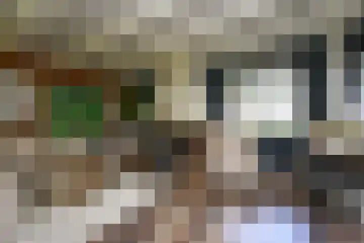 Korhoenlaan 2 20 Harderwijk thumbnail 7