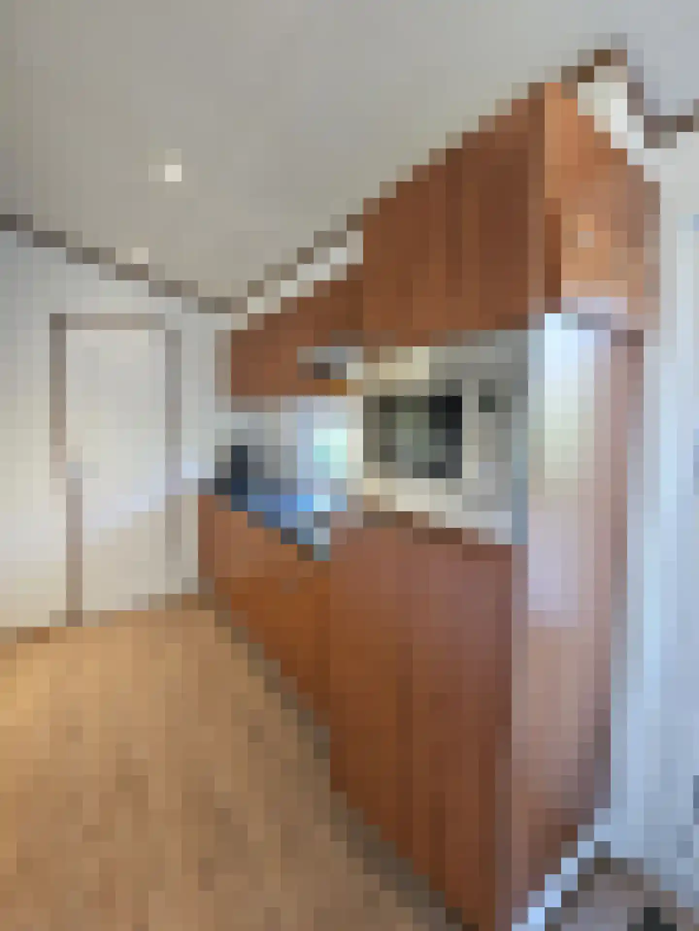 Korhoenlaan 2 232 Harderwijk thumbnail 5