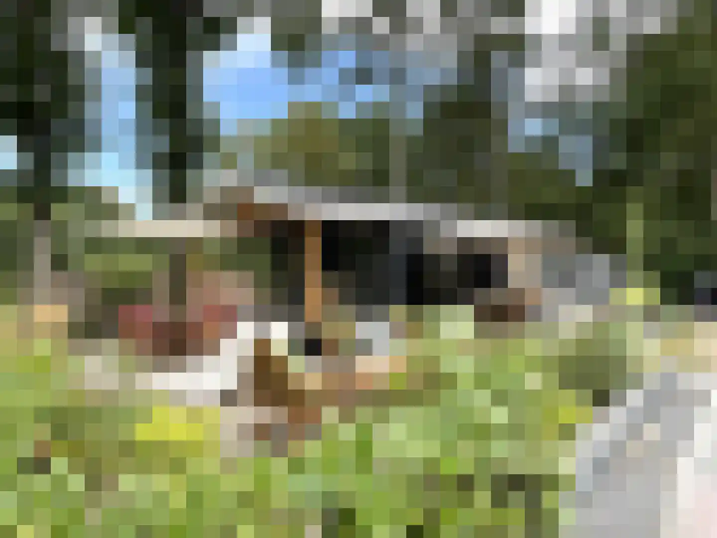 Korhoenlaan 2 253 Harderwijk