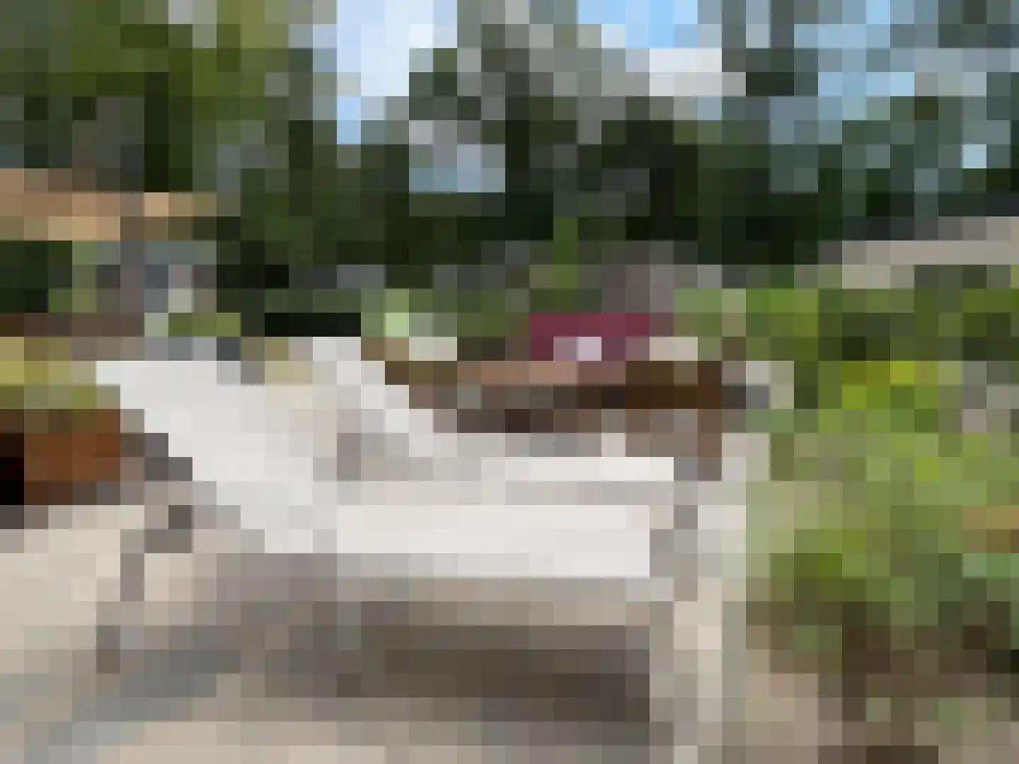 Korhoenlaan 2 253 Harderwijk thumbnail 20