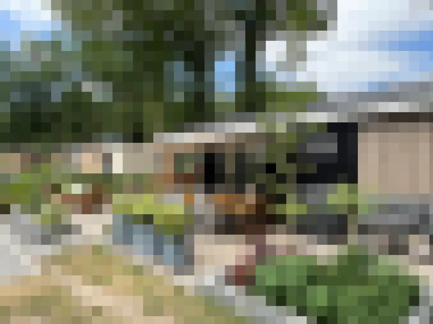 Korhoenlaan 2 253 Harderwijk thumbnail 26