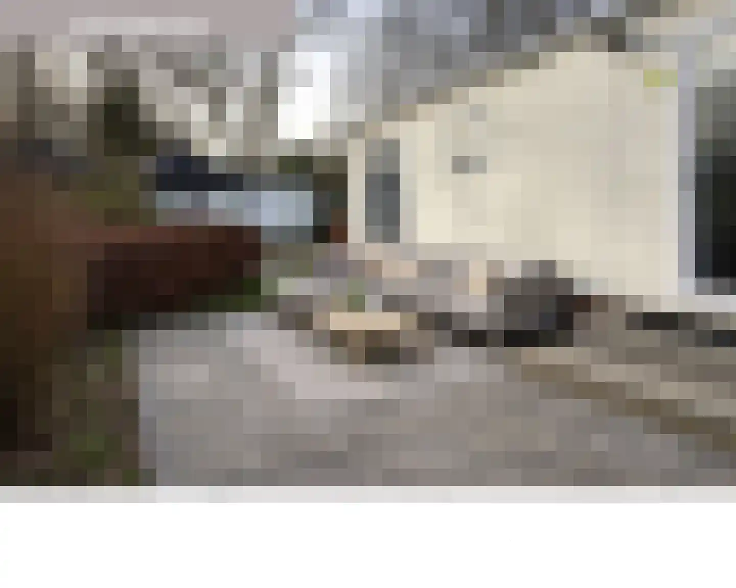 Korhoenlaan 2 26 Harderwijk thumbnail 5