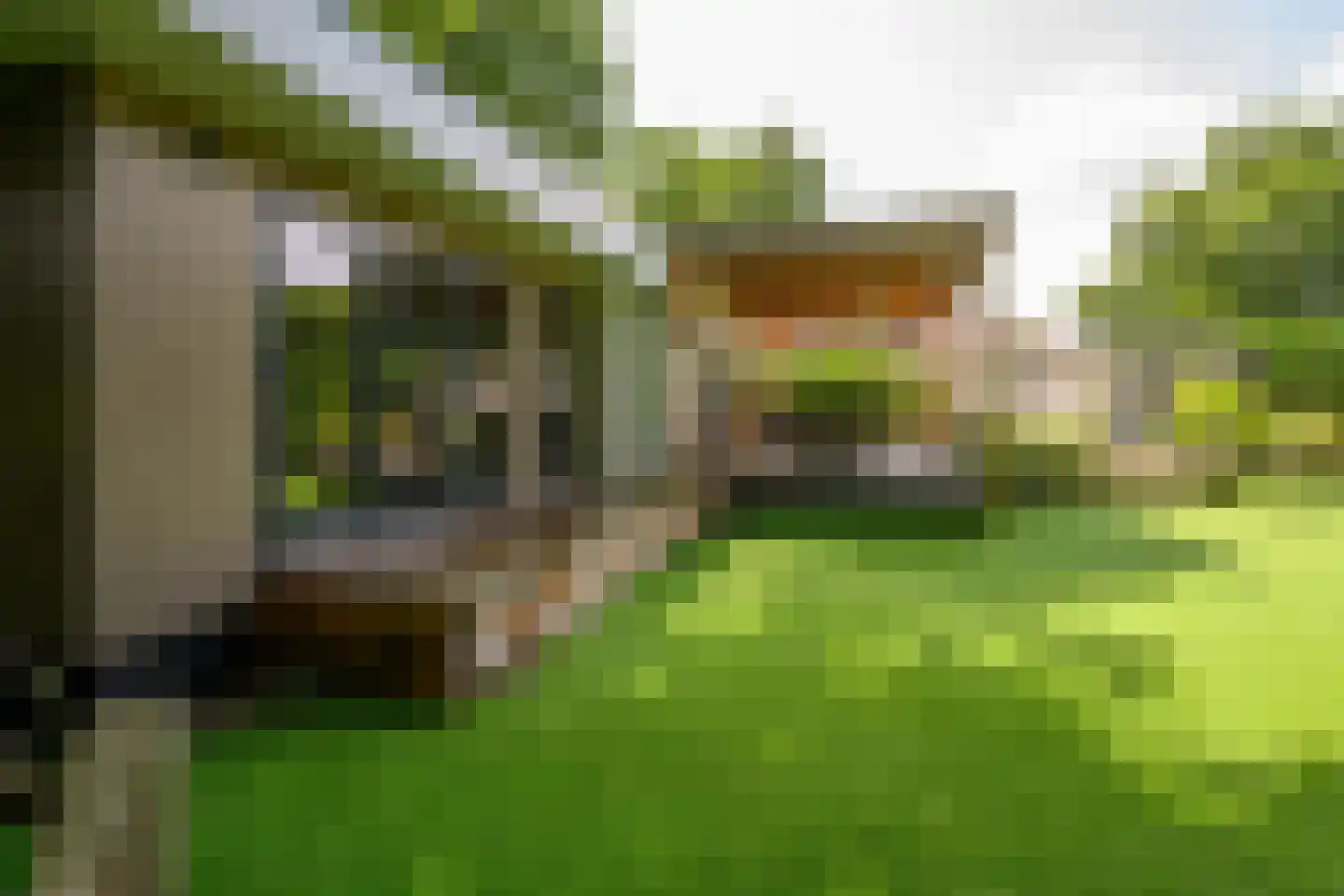 Korhoenlaan 2 A20 Harderwijk thumbnail 12