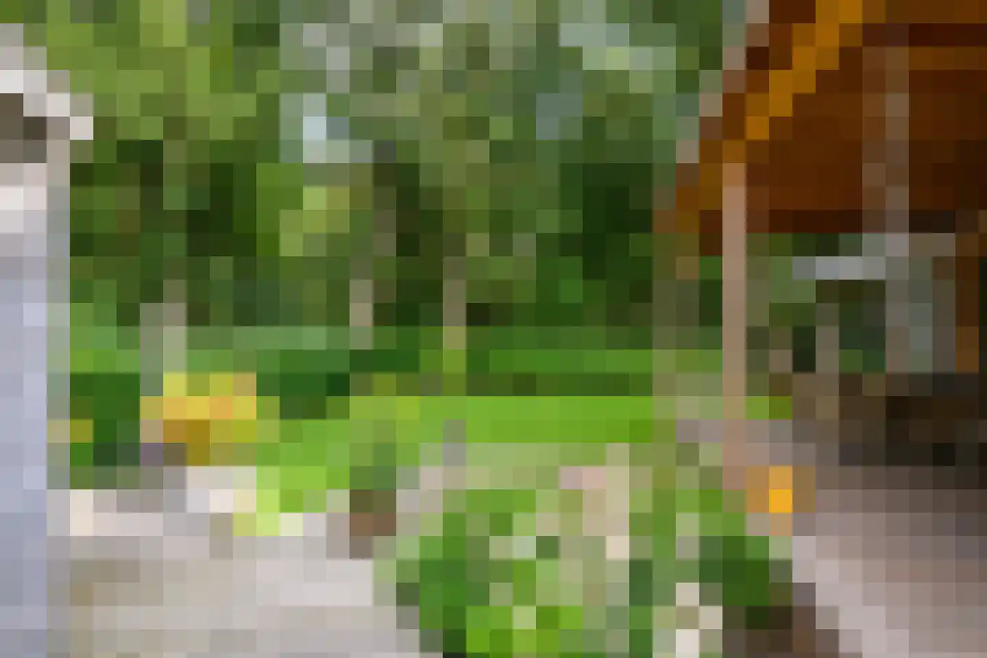 Korhoenlaan 2 A20 Harderwijk thumbnail 6