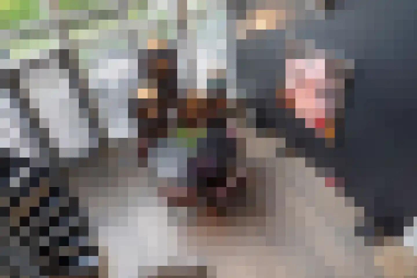 Korhoenlaan 20 Almere thumbnail 18