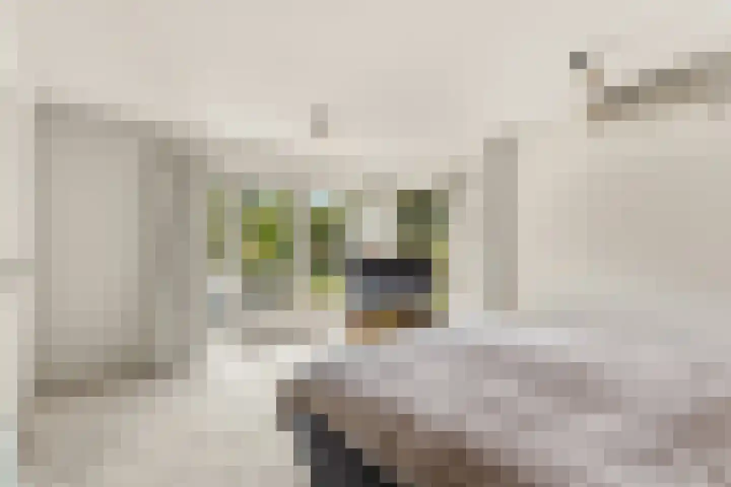 Korhoenlaan 20 Almere thumbnail 36