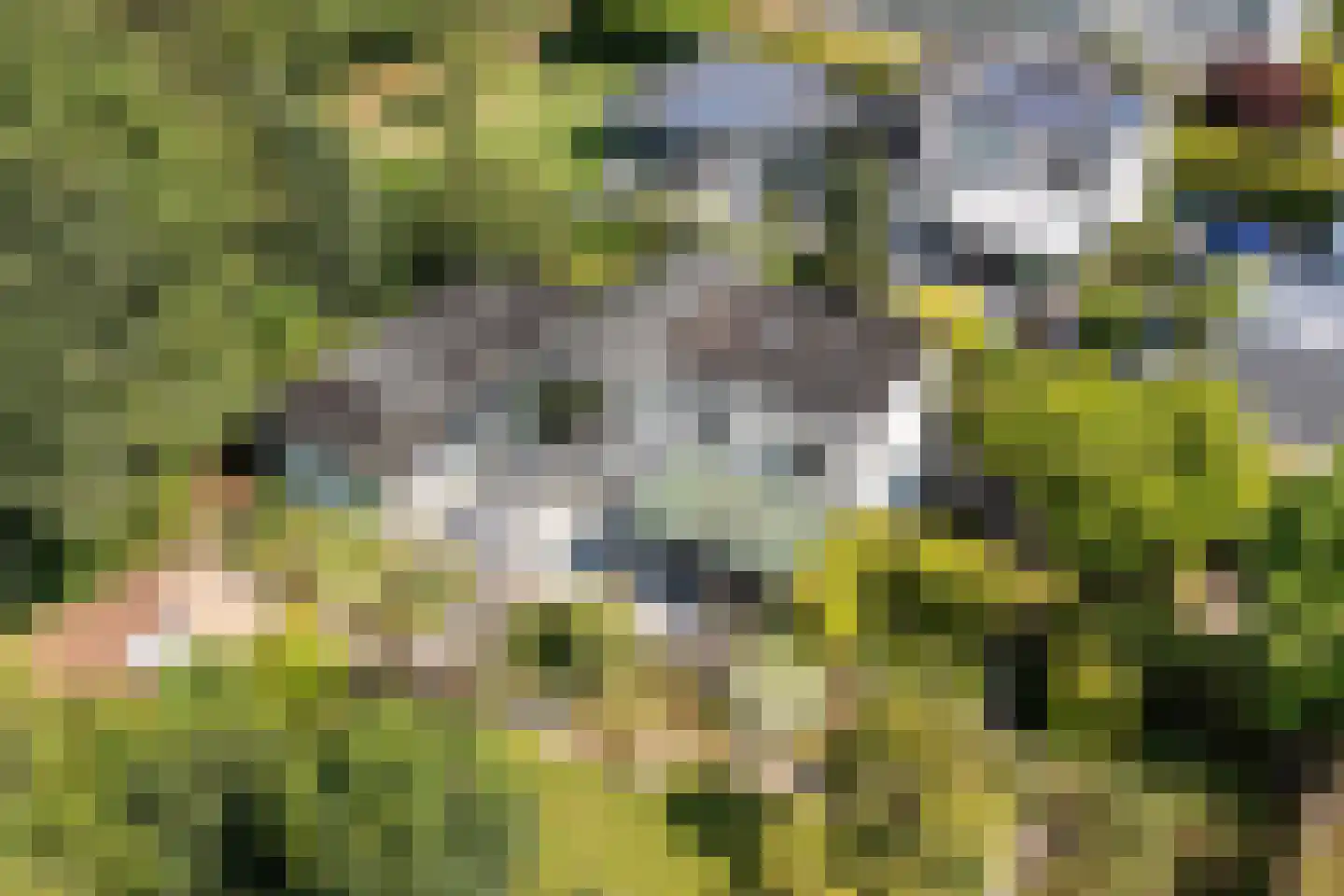Korhoenlaan 20 Almere thumbnail 4