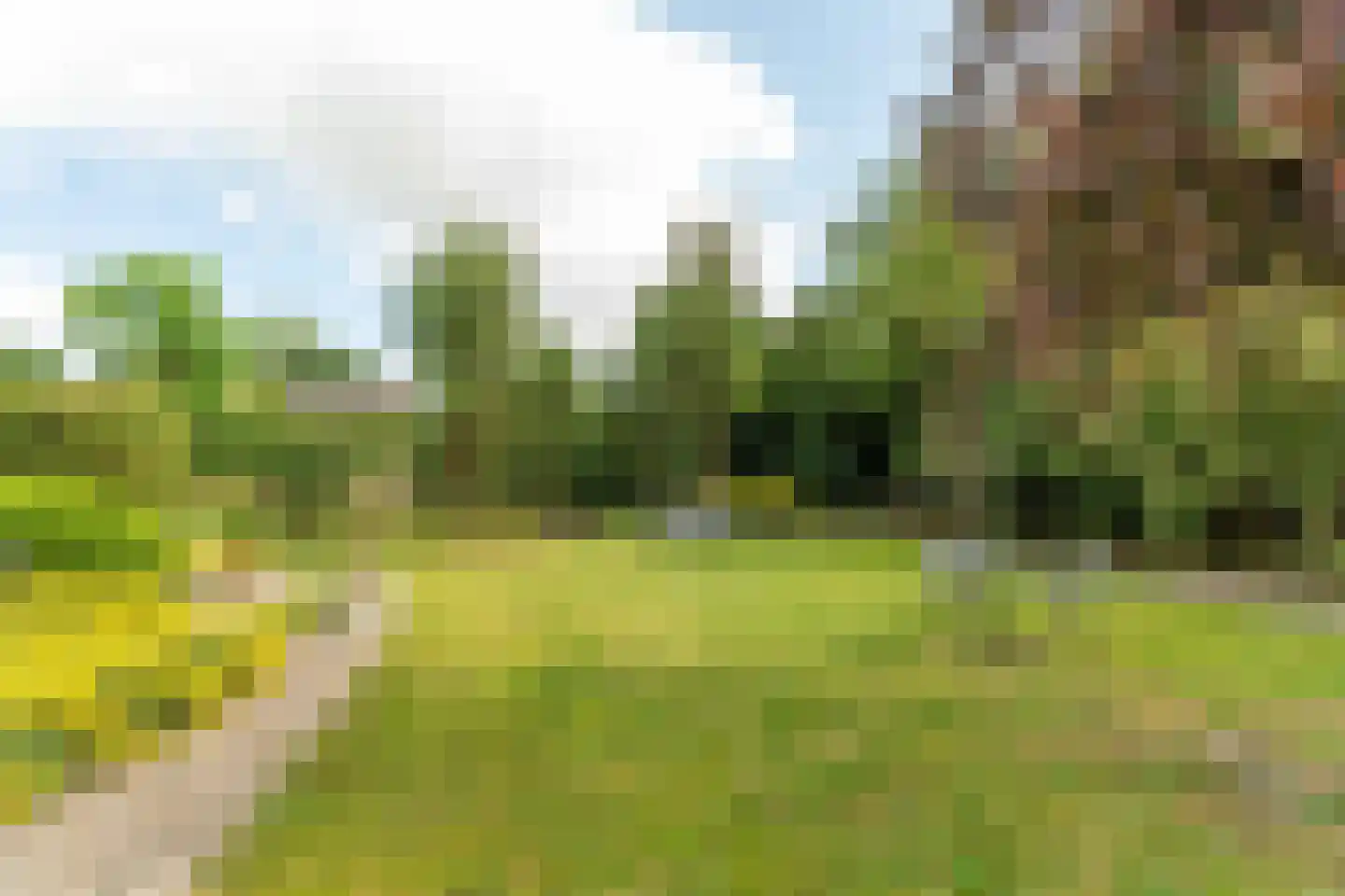 Korhoenlaan 20 Almere thumbnail 51