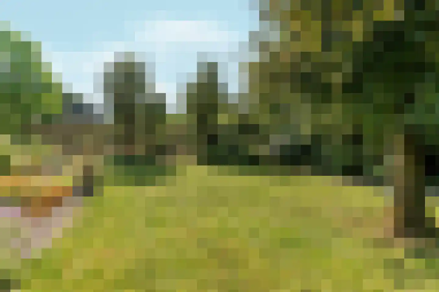 Korhoenlaan 20 Almere thumbnail 66