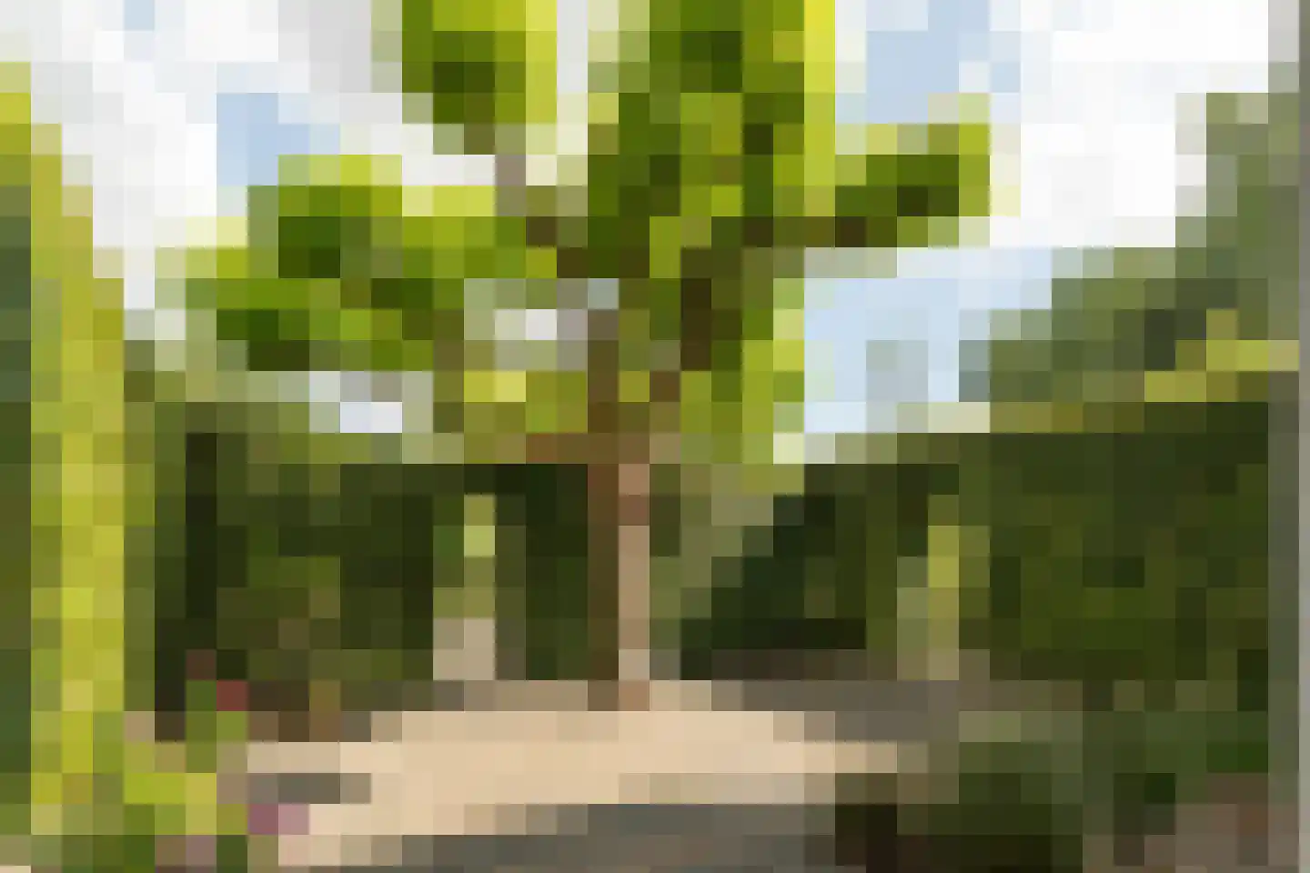 Korhoenlaan 20 Almere thumbnail 68