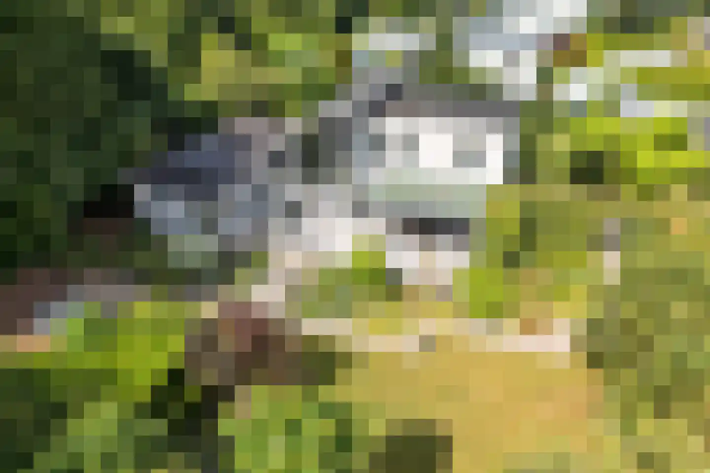 Korhoenlaan 20 Almere thumbnail 71