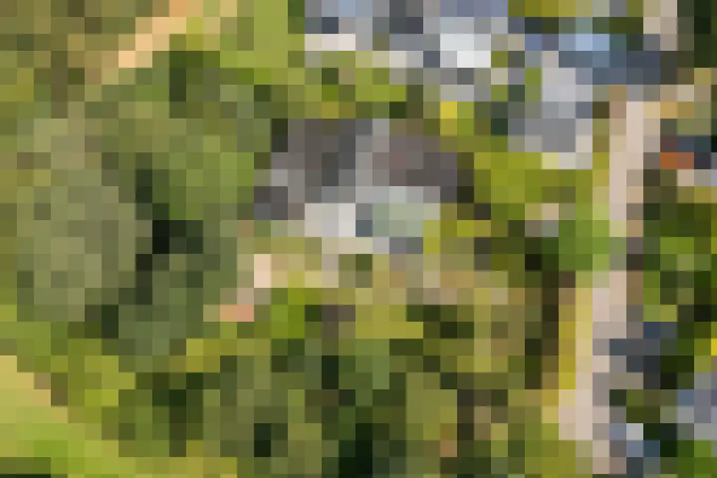 Korhoenlaan 20 Almere thumbnail 82