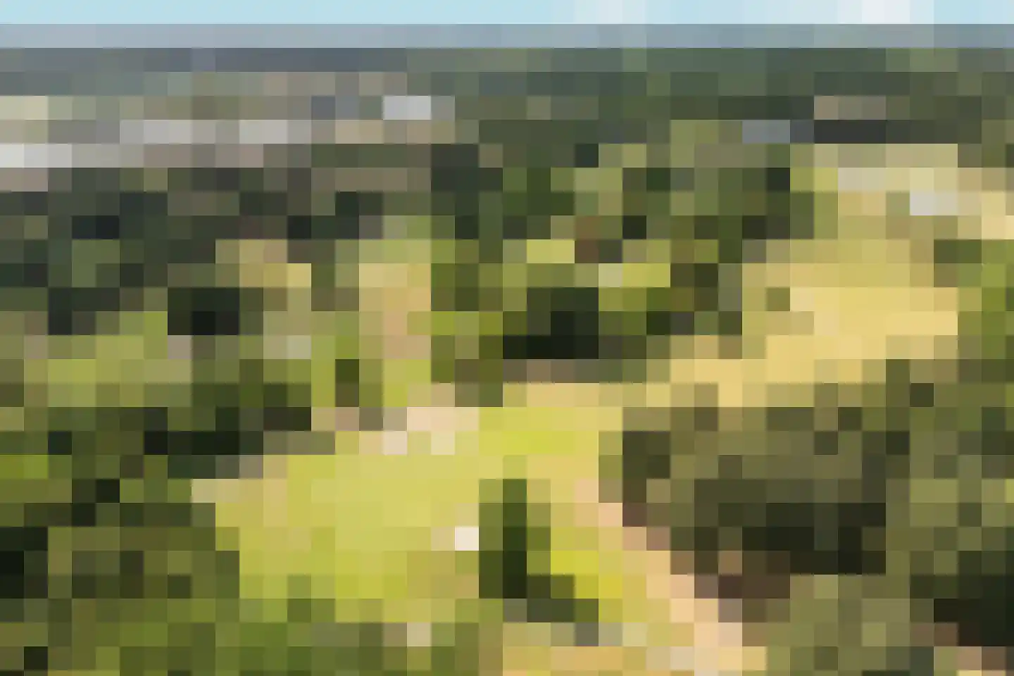 Korhoenlaan 20 Almere thumbnail 89