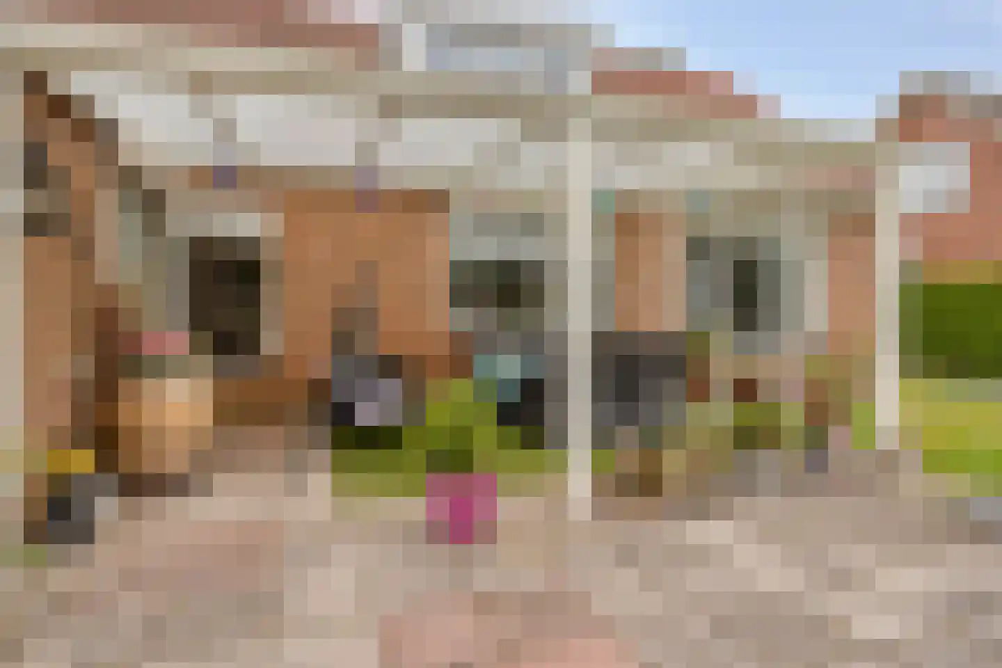Korhoenlaan 20 Weiteveen thumbnail 30