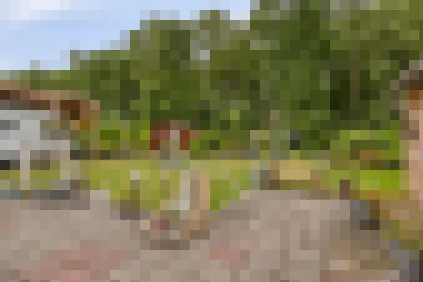 Korhoenlaan 20 Weiteveen thumbnail 34