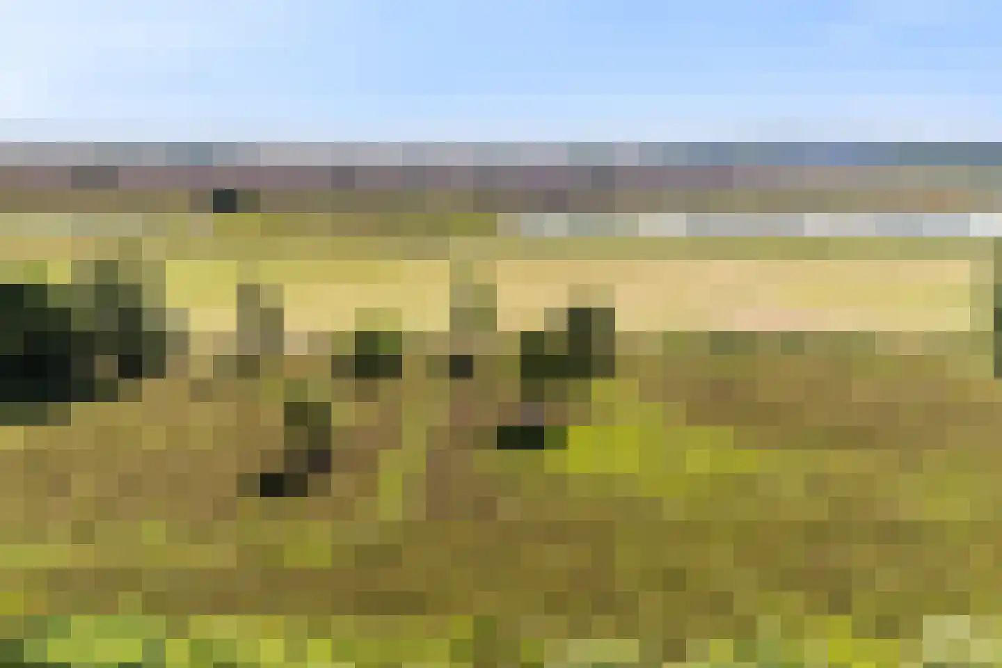 Korhoenlaan 22 Weiteveen thumbnail 67