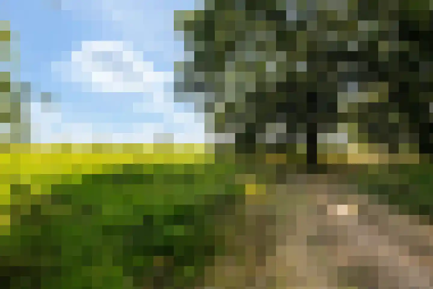 Korhoenlaan 22 Weiteveen thumbnail 69