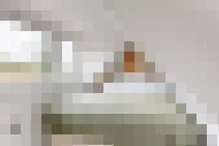 Korhoenlaan 23 Bilthoven thumbnail 34
