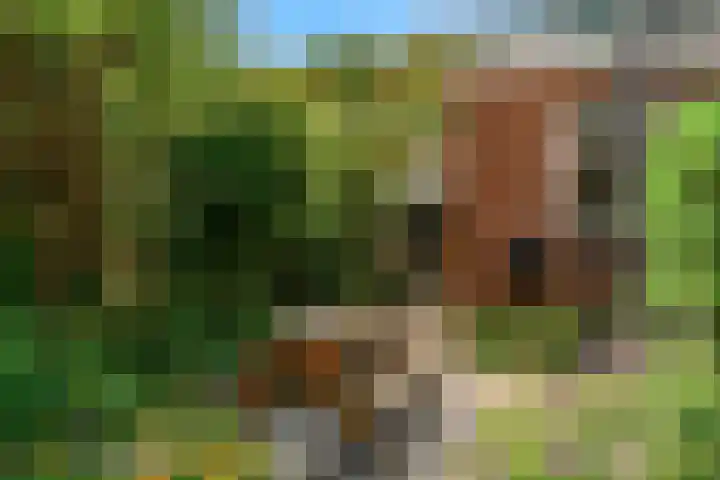 Korhoenlaan 23 Bilthoven thumbnail 35