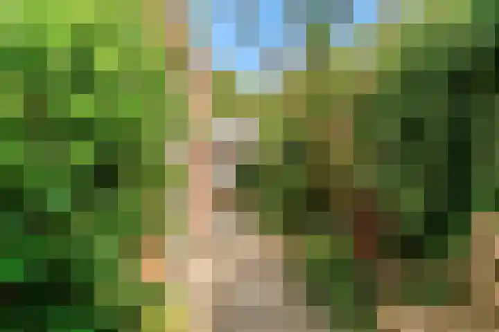 Korhoenlaan 23 Bilthoven thumbnail 36