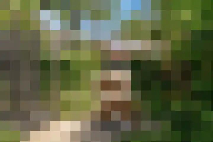 Korhoenlaan 23 Bilthoven thumbnail 38