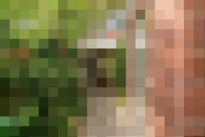 Korhoenlaan 23 Bilthoven thumbnail 40
