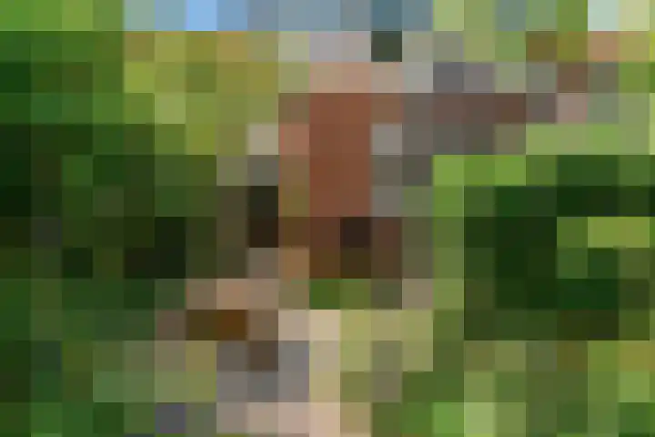 Korhoenlaan 23 Bilthoven thumbnail 44