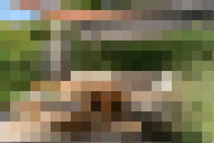 Korhoenlaan 23 Bilthoven thumbnail 45
