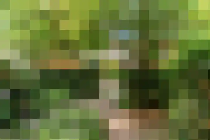 Korhoenlaan 23 Bilthoven thumbnail 46