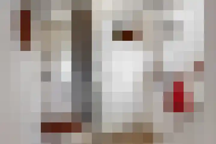 Korhoenlaan 23 Bilthoven thumbnail 5
