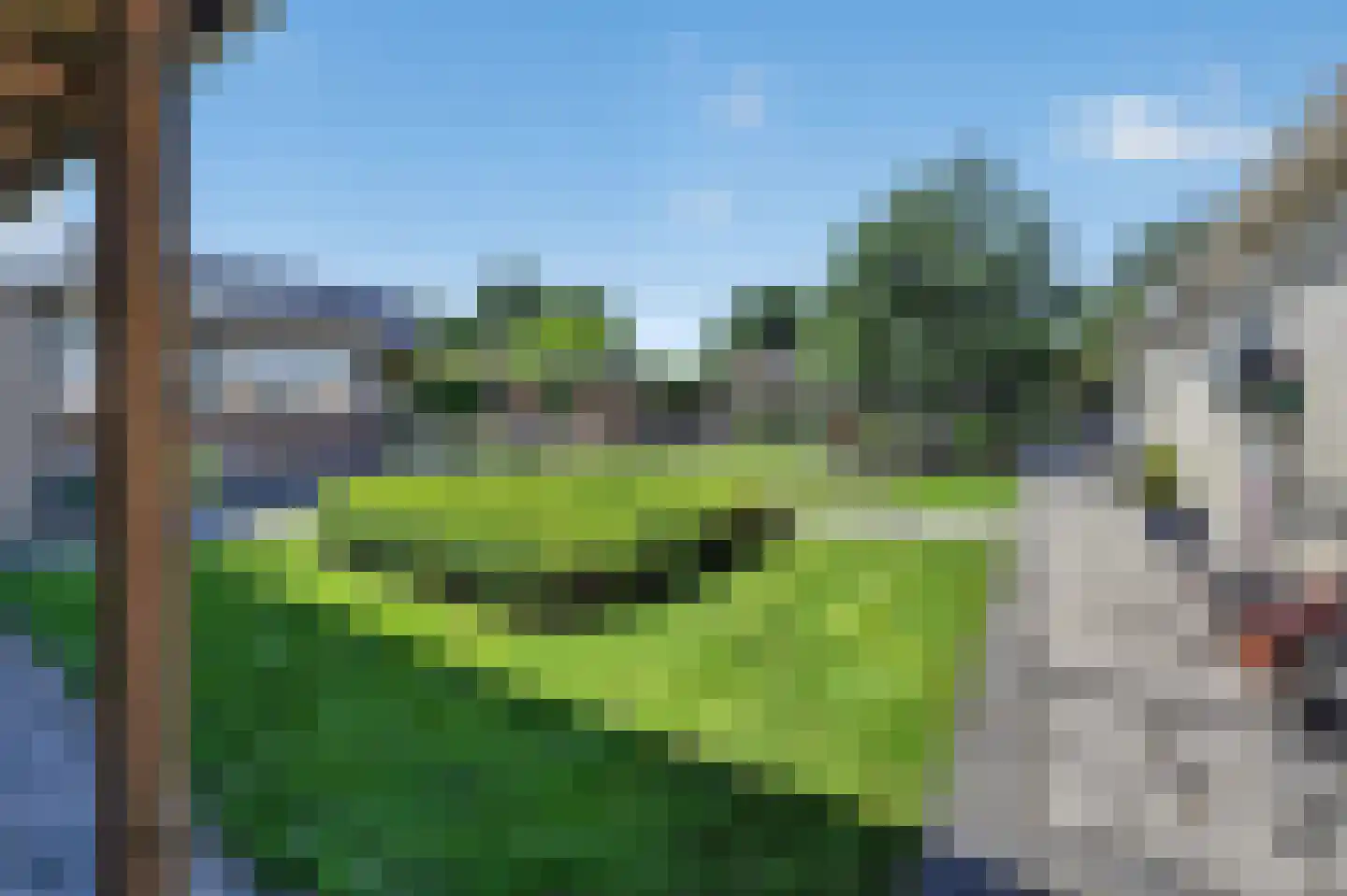 Korhoenlaan 25 Weiteveen thumbnail 44