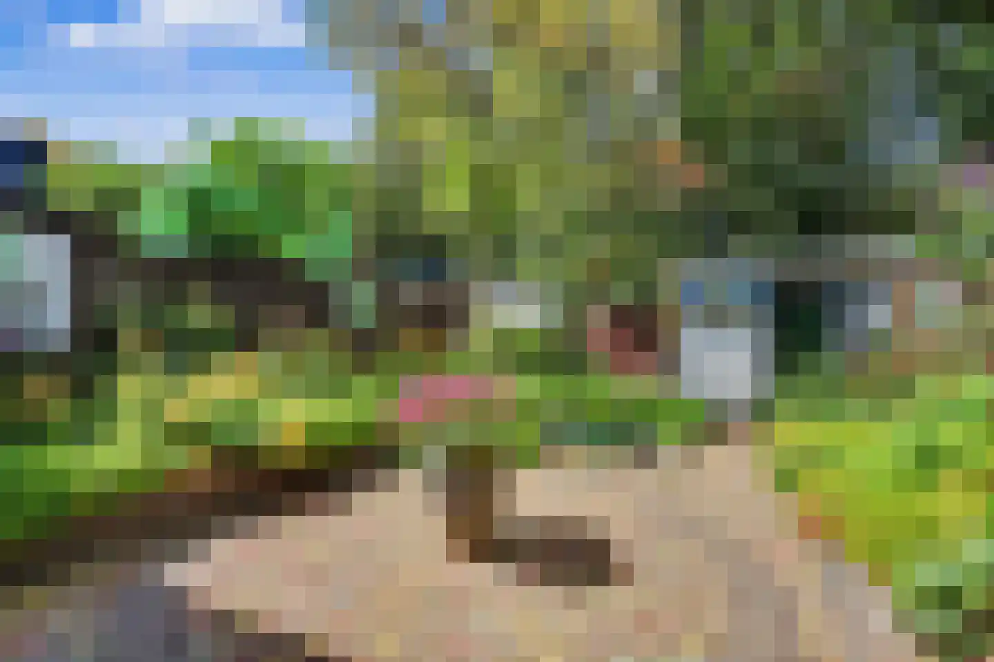 Korhoenlaan 28 Zeist thumbnail 25
