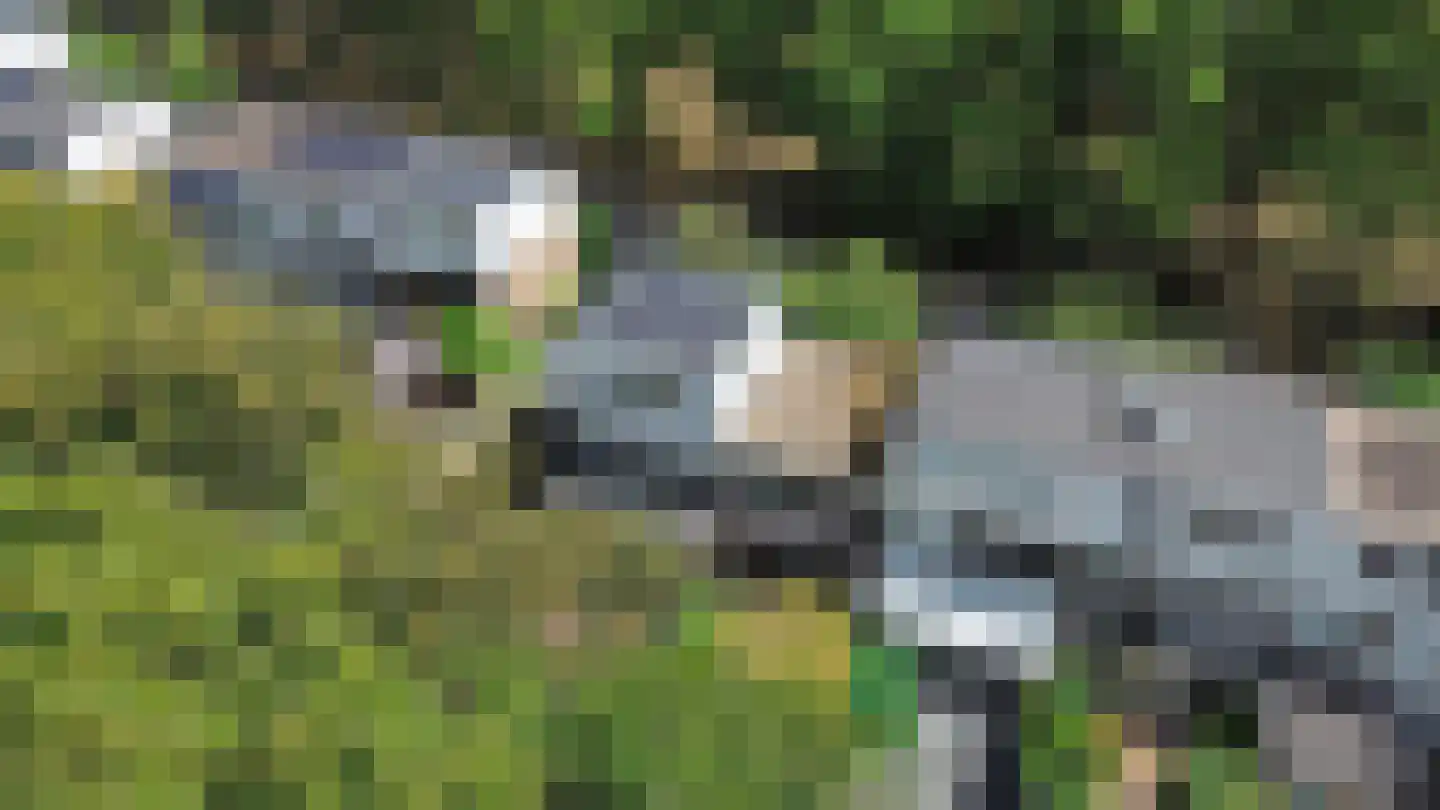 Korhoenlaan 28 Zeist thumbnail 31