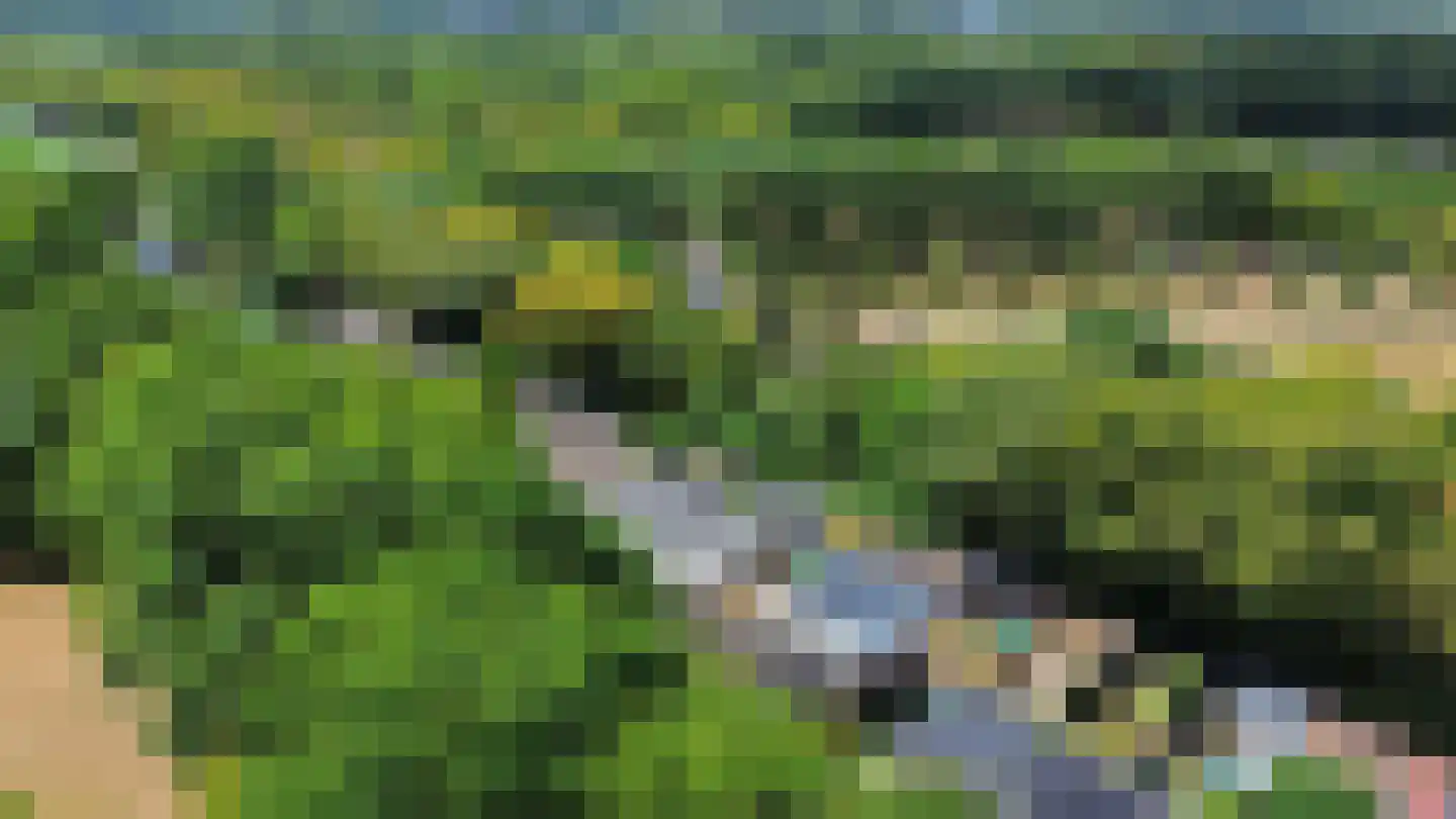 Korhoenlaan 28 Zeist thumbnail 33