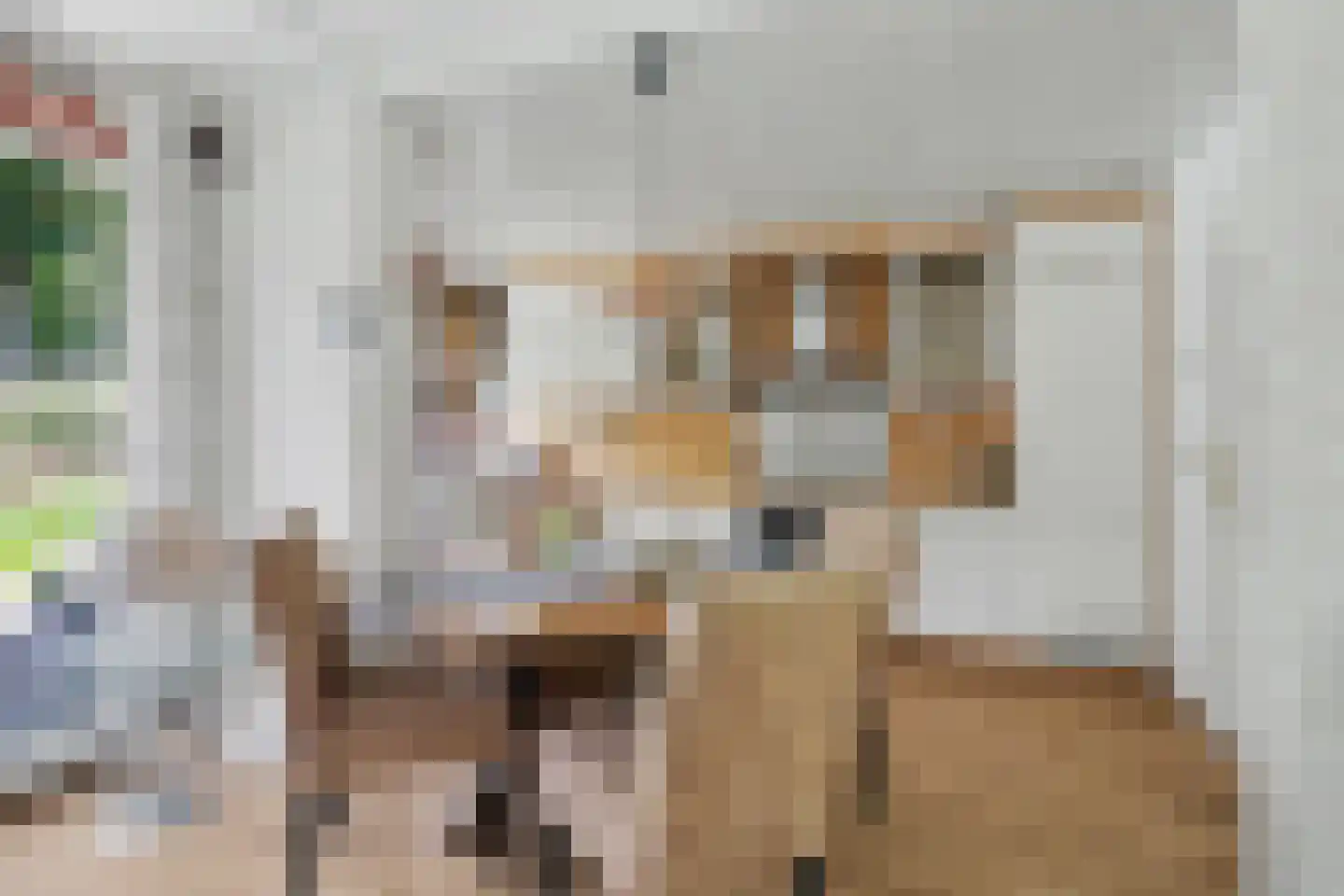 Korhoenlaan 28 Zeist thumbnail 8